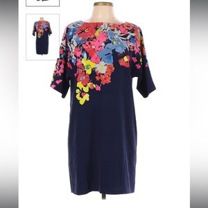 Ann Taylor Loft Dress